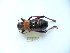  ( - 03DRAGO_G08)  @13 [ ] Copyright  G. Blagoev 2010 Unspecified