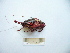  ( - 03DRAGO_H10)  @12 [ ] Copyright  G. Blagoev 2010 Unspecified
