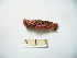  ( - 04DRAGO_A08)  @13 [ ] Copyright  G. Blagoev 2010 Unspecified