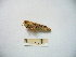  ( - 04DRAGO_A10)  @11 [ ] Copyright  G. Blagoev 2010 Unspecified