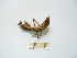 ( - 04DRAGO_B12)  @13 [ ] Copyright  G. Blagoev 2010 Unspecified