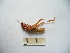  ( - 04DRAGO_D07)  @13 [ ] Copyright  G. Blagoev 2010 Unspecified