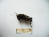  ( - 04DRAGO_F09)  @12 [ ] Copyright  G. Blagoev 2010 Unspecified