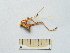  ( - 04DRAGO_H05)  @12 [ ] Copyright  G. Blagoev 2010 Unspecified