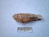  ( - 05DRAGO_F05)  @13 [ ] Copyright  G. Blagoev 2010 Unspecified