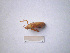  ( - 06DRAGO_D04)  @12 [ ] Copyright  G. Blagoev 2010 Unspecified