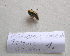  ( - 06DRAGO_G05)  @12 [ ] Copyright  G. Blagoev 2010 Unspecified