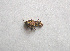  ( - 06DRAGO_G07)  @12 [ ] Copyright  G. Blagoev 2010 Unspecified