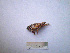  ( - 06DRAGO_H01)  @12 [ ] Copyright  G. Blagoev 2010 Unspecified