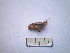  ( - 06DRAGO_H02)  @12 [ ] Copyright  G. Blagoev 2010 Unspecified