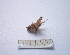  ( - 06DRAGO_H03)  @12 [ ] Copyright  G. Blagoev 2010 Unspecified