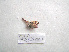  ( - 07DRAGO_B08)  @12 [ ] Copyright  G. Blagoev 2010 Unspecified