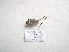  (Montana macedonica - 07DRAGO_B09)  @12 [ ] Copyright  G. Blagoev 2010 Unspecified