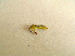  ( - 07DRAGO_D06)  @11 [ ] Copyright  G. Blagoev 2010 Unspecified