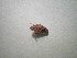  ( - CCDB-11144-G02)  @11 [ ] Copyright  G. Blagoev 2011 Unspecified