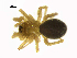  ( - BIOUG22261-B07)  @11 [ ] CreativeCommons - Attribution Share-Alike (2023) Unspecified Centre for Biodiversity Genomics