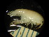  ( - WA-021_010)  @11 [ ] CreativeCommons  Attribution Non-Commercial Share-Alike (2016) Unspecified DFO