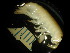  ( - BC-004_007)  @12 [ ] CreativeCommons  Attribution Non-Commercial Share-Alike (2016) Unspecified DFO