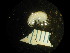  ( - BC-004_009)  @12 [ ] CreativeCommons  Attribution Non-Commercial Share-Alike (2016) Unspecified DFO