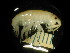  ( - BC-006_002)  @12 [ ] CreativeCommons  Attribution Non-Commercial Share-Alike (2016) Unspecified DFO