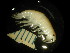  ( - BC-006_003)  @11 [ ] CreativeCommons  Attribution Non-Commercial Share-Alike (2016) Unspecified DFO