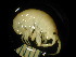  ( - WA-022_004)  @12 [ ] CreativeCommons  Attribution Non-Commercial Share-Alike (2016) Unspecified DFO