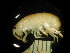  ( - WA-022_006)  @12 [ ] CreativeCommons  Attribution Non-Commercial Share-Alike (2016) Unspecified DFO