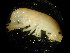  ( - WA-019_010)  @12 [ ] CreativeCommons  Attribution Non-Commercial Share-Alike (2016) Unspecified DFO
