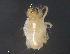  ( - BIOUG23251-E03)  @12 [ ] CreativeCommons - Attribution (2015) CBG Photography Group Centre for Biodiversity Genomics