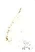  ( - NBGW1021)  @11 [ ] Unspecified (default): All Rights Reserved  Unspecified Unspecified