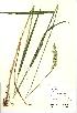  ( - NBGW1041)  @11 [ ] Unspecified (default): All Rights Reserved  Unspecified Unspecified
