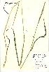  ( - NBGW1062)  @11 [ ] Unspecified (default): All Rights Reserved  Unspecified Unspecified