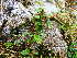  ( - NBGW3)  @11 [ ] Unspecified (default): All Rights Reserved  Unspecified Unspecified