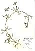  ( - NBGW3031)  @11 [ ] Unspecified (default): All Rights Reserved  Unspecified Unspecified