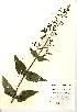  ( - NBGW4015)  @11 [ ] Unspecified (default): All Rights Reserved  Unspecified Unspecified