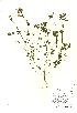  ( - NBGW5011)  @11 [ ] Unspecified (default): All Rights Reserved  Unspecified Unspecified