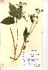  ( - NMW007)  @11 [ ] Unspecified (default): All Rights Reserved  Unspecified Unspecified