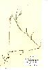  ( - NMW014)  @11 [ ] Unspecified (default): All Rights Reserved  Unspecified Unspecified