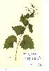  ( - NMW023)  @11 [ ] Unspecified (default): All Rights Reserved  Unspecified Unspecified