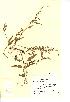  ( - NMW076)  @11 [ ] Unspecified (default): All Rights Reserved  Unspecified Unspecified
