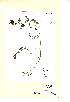  (Callitriche - NMW116)  @11 [ ] Unspecified (default): All Rights Reserved  Unspecified Unspecified