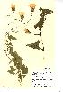  ( - NMW120)  @11 [ ] Unspecified (default): All Rights Reserved  Unspecified Unspecified