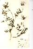  ( - NMW308)  @11 [ ] Unspecified (default): All Rights Reserved  Unspecified Unspecified