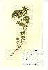  ( - NMW324)  @11 [ ] Unspecified (default): All Rights Reserved  Unspecified Unspecified