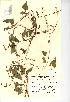  ( - NMW344)  @11 [ ] Unspecified (default): All Rights Reserved  Unspecified Unspecified