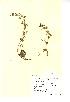  ( - NMW390)  @11 [ ] Unspecified (default): All Rights Reserved  Unspecified Unspecified