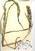  ( - NMW400)  @11 [ ] Unspecified (default): All Rights Reserved  Unspecified Unspecified