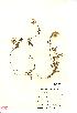  ( - NMW416)  @11 [ ] Unspecified (default): All Rights Reserved  Unspecified Unspecified