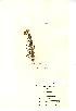  ( - NMW419)  @11 [ ] Unspecified (default): All Rights Reserved  Unspecified Unspecified