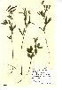  ( - NMW475)  @11 [ ] Unspecified (default): All Rights Reserved  Unspecified Unspecified
